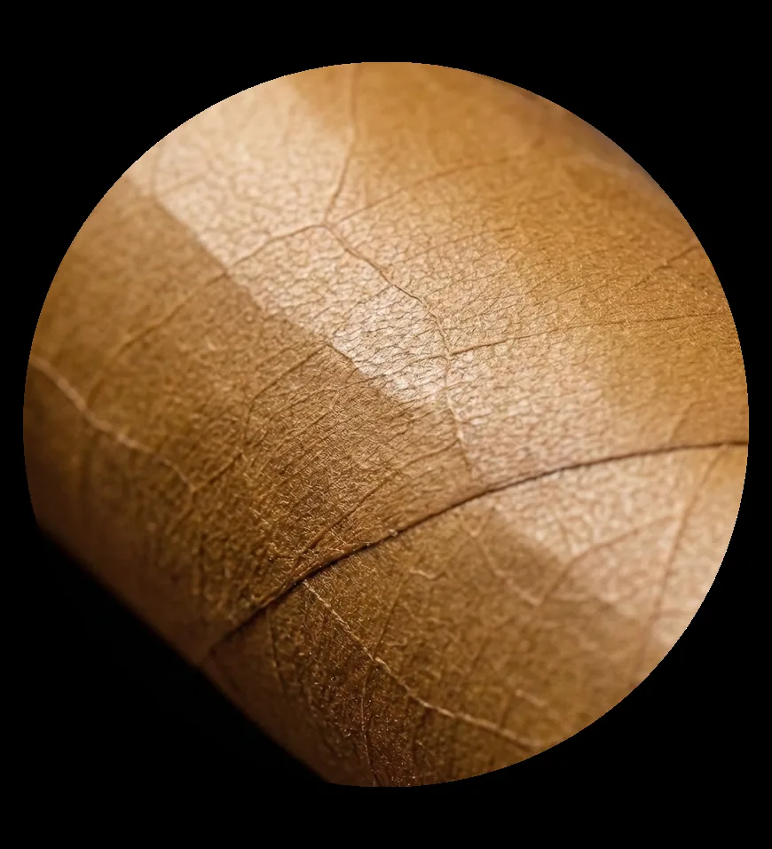 Binder-grade whole leaf detail