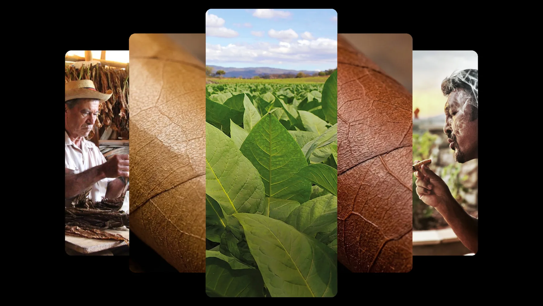 Private-label tobacco specification worksheet and packaging planning desk