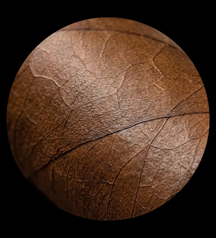 Seco tobacco leaf position reference